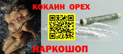 apvp Камышлов