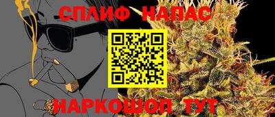 apvp Камышлов