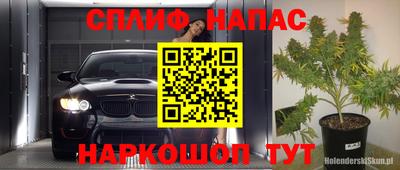 apvp Камышлов