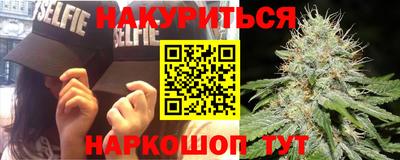 apvp Камышлов