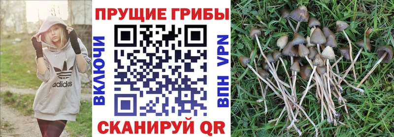 Псилоцибиновые грибы ЛСД  Кропоткин 