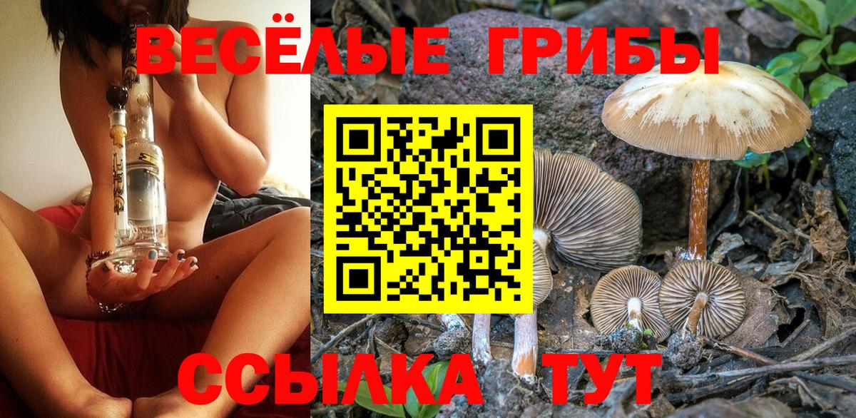 Кропоткин  Псилоцибиновые грибы прущие грибы  Вход с VPN 