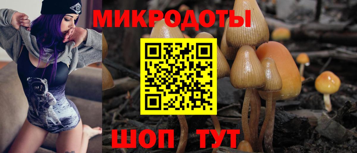 Галлюциногенные грибы Psilocybine cubensis Кропоткин
